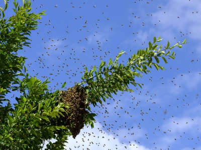 Gruppenurlaub - in Cuxhaven Bild zum Thema Gruppenurlaub